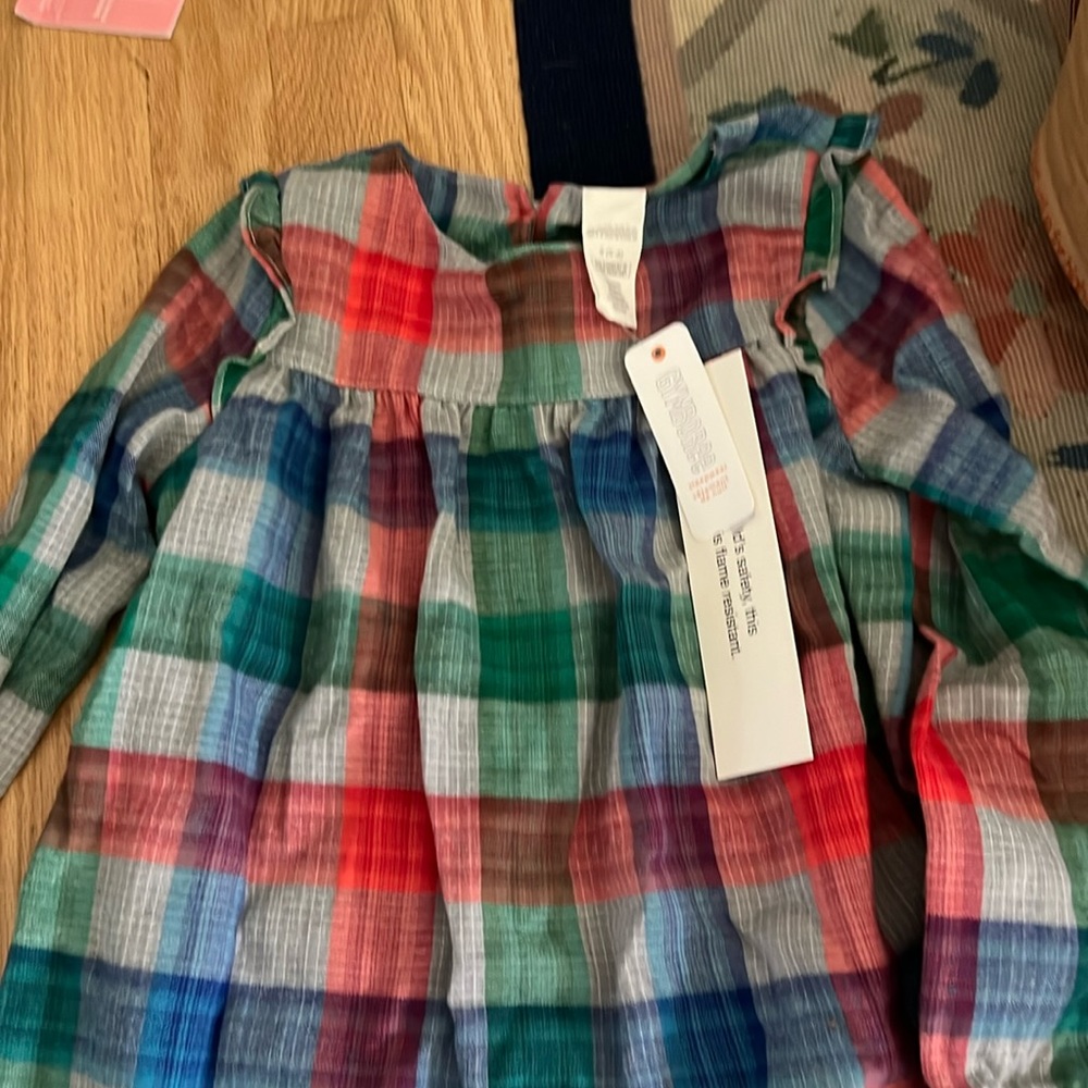 NWT Gymboree dress